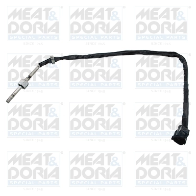 Sensor, exhaust gas temperature